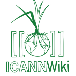 ICANNWiki300x300
